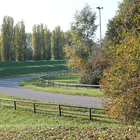 Viale