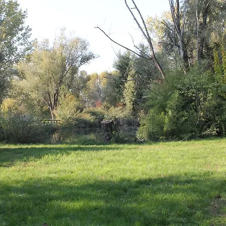 Viale