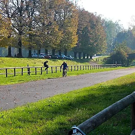 Viale 3*